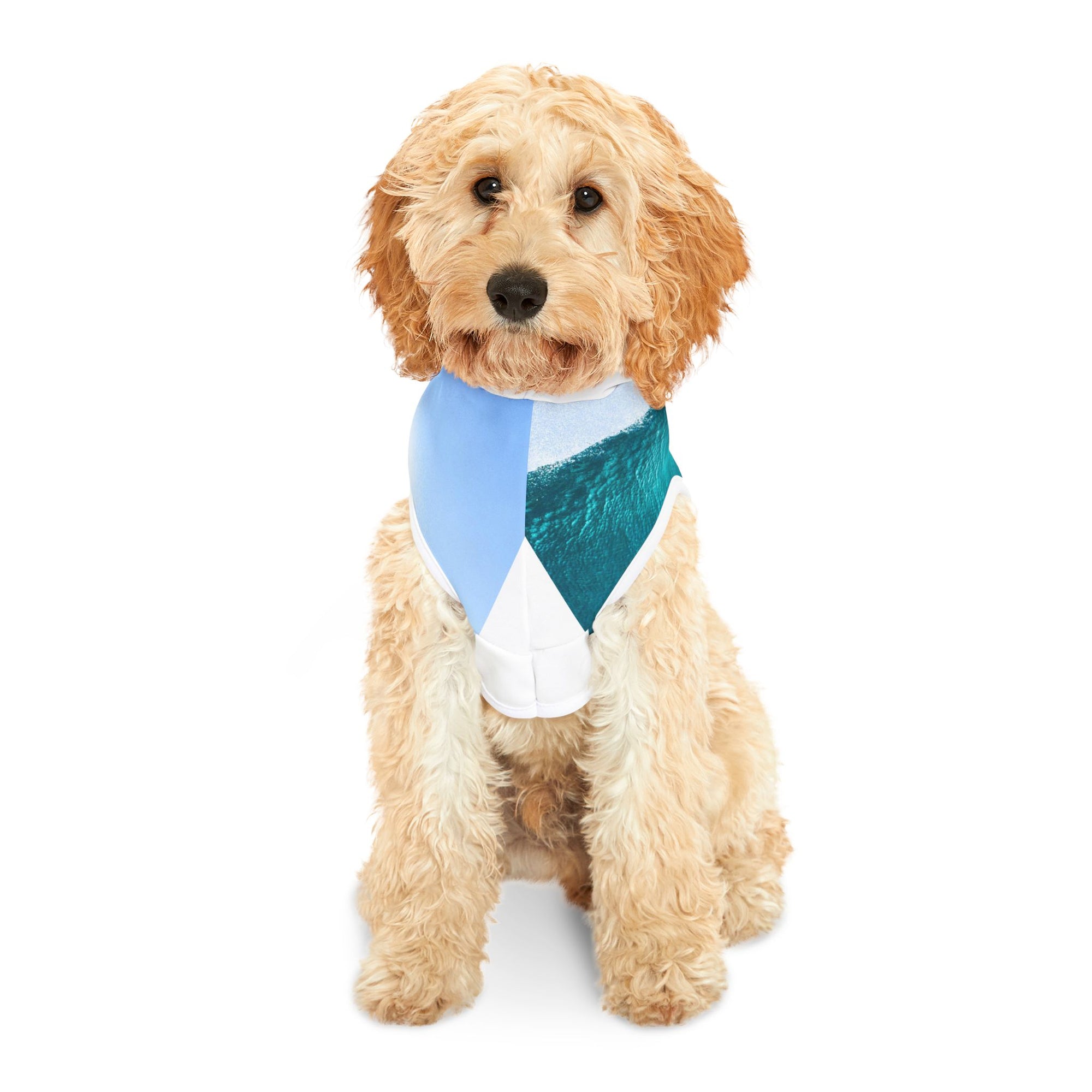 Huzzas Turquoise Wave Pet Hoodie